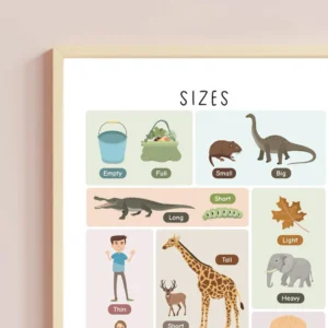 size comparison educational wall art