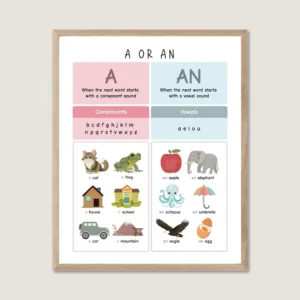 Vowels and Consonants Chart educational poster for kids