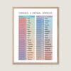Cardinal Ordinal Numbers Poster math classroom decor