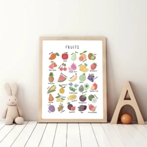 Montessori Fruits Educational Poster