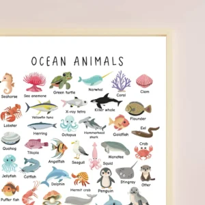 Montessori Ocean Animal Wall Art Ocean