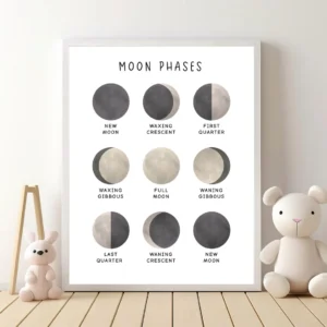 Moon phases poster for kids
