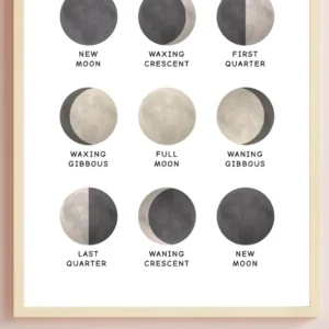Moon phases science classroom decor