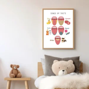 Five senses educational printable poster