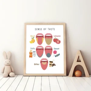 Homeschool five senses learning print