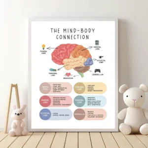 Therapy office brain anatomy decor