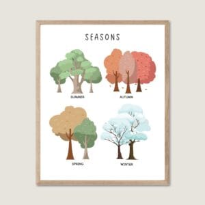 Four Seasons Poster for kids educational wall art
