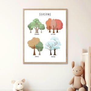 Spring summer autumn winter seasons chart