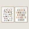Safari Animal Alphabet Poster with African animals from A to Z