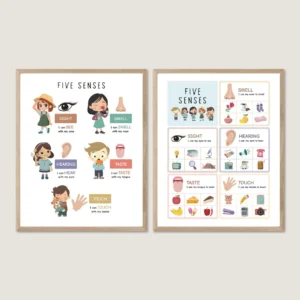 Five Senses Poster educational wall art for kids