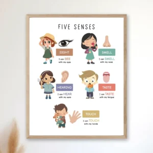 Five Senses Poster for preschool science learning