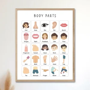 Printable body parts poster for children