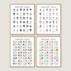 Animal Tracks Field Guide with woodland animal footprints