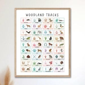 Forest field guide print featuring animal footprints