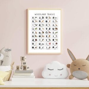 Animal Tracks Field Guide woodland nursery wall art