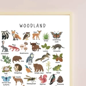 Printable animal wall art for kids learning space
