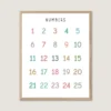 Number Poster 1-25 rainbow nursery printable