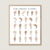 Sign language alphabet educational poster