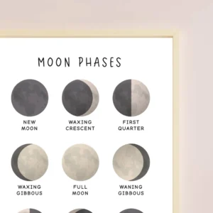 Kids space learning wall decor