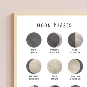 Science poster about moon phases