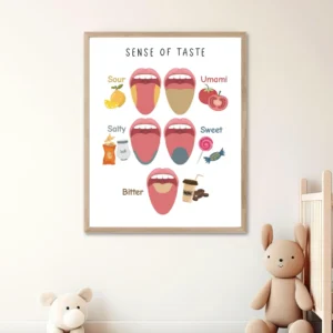 Sense of taste science wall art
