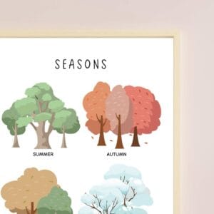 Educational spring summer autumn winter poster