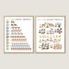 Safari Animals Numbers Print educational counting poster for kids