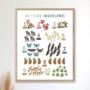 Woodland Numbers Poster for early number recognition