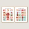 Human Body Poster educational anatomy wall art for kids