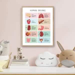 Human Body Poster for homeschool science learning space