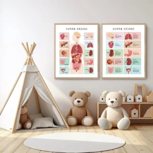 Printable skeleton and anatomy poster for children
