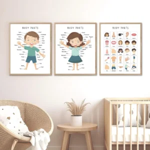 Children's anatomy chart for early education