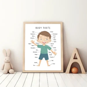 Educational human body wall art for kids