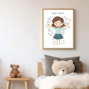 My Body Educational Poster for preschool classroom