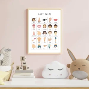 Printable body parts learning chart for children