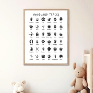 Printable animal tracks poster for nature education