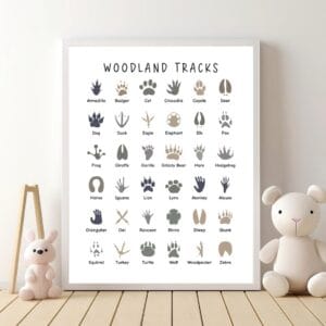 Woodland nursery art featuring forest animal tracks