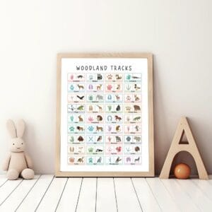 Forest animal footprint chart for nature study
