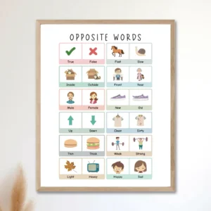 Educational antonyms poster for kindergarten learning