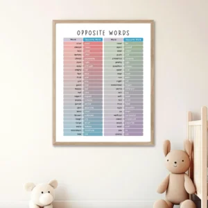 Vocabulary learning poster with common opposite word pairs