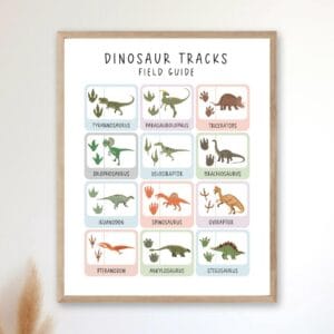 Educational dinosaur tracks poster for nursery decor