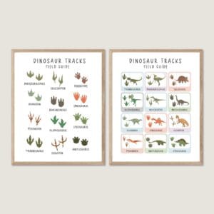 Dinosaur Tracks Print featuring prehistoric dinosaur footprints