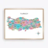 Illustrated Turkey Map with provinces and major cities