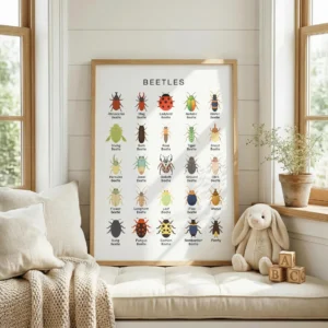 Educational beetle identification chart for science classroom