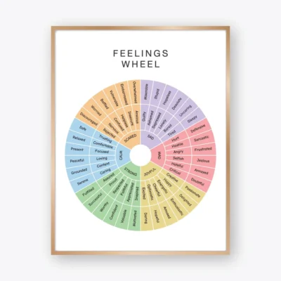 Feelings Wheel Poster with six main emotion groups for children