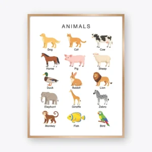 Animals Poster featuring 15 common animals with clear labels