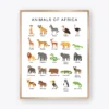 Animals of Africa Poster featuring 25 African animals with clear labels