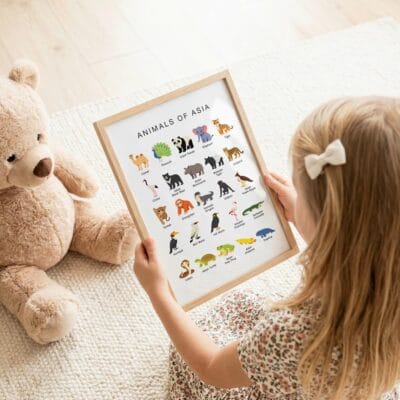 Educational wildlife chart for classroom wall displays